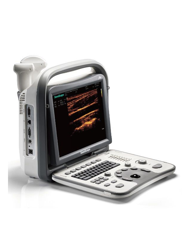 声像图- B/W超声